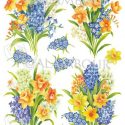 rp59-narcissus-wallflowers-420x600-jpg