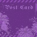 dear-santa-purple-render-jpg