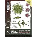 pre-order-sweet-william-sheena-stamp-1431070433-jpg
