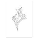 tatty-tulip_1024x1024-jpg