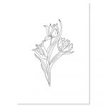tatty-tulip_1024x1024-jpg
