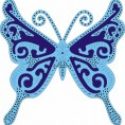 exotic-butterfly-large-jpg