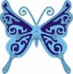 exotic-butterfly-large-jpg