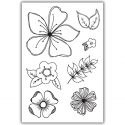 1018-f-png