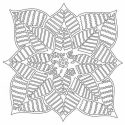poinsettia-jpg